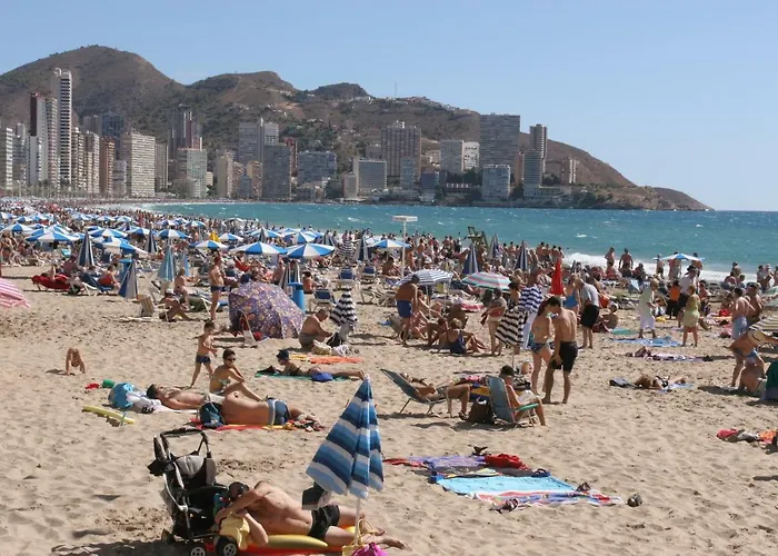 Daniela 公寓 貝尼多姆